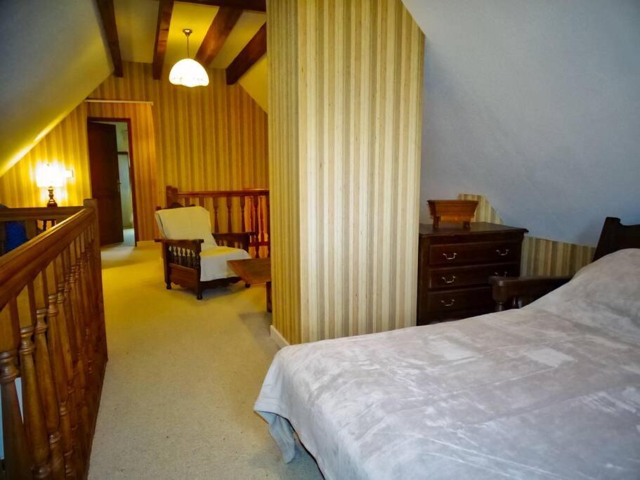 Maison A Louer Besse-et-Saint-Anastaise Eksteriør billede